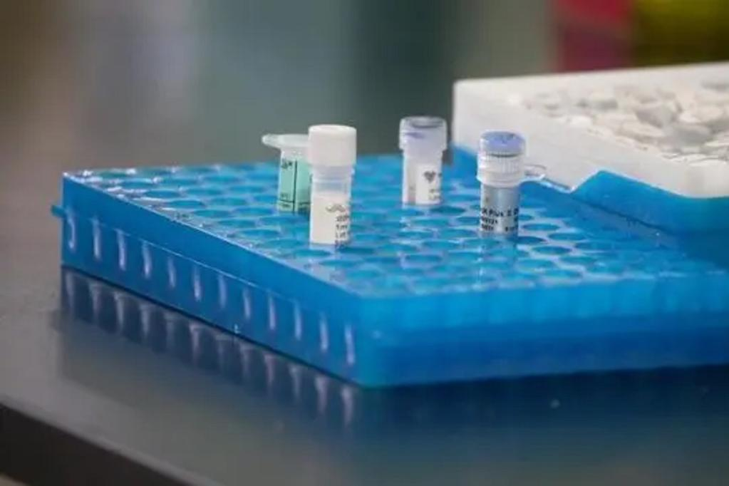 NЧ ϴWƳ׿ͲҺNоƬ